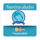 Baby Dolphins Club